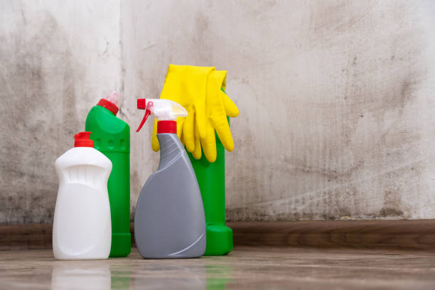 Reliable Interlaken, CA Mold Remediation Solutions